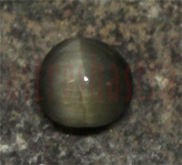No Image Found
